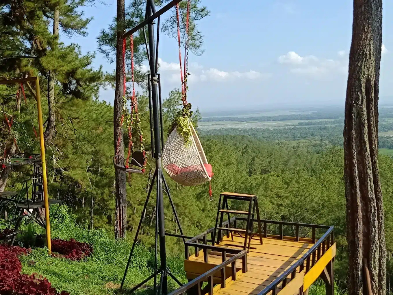 Samita Mini Forest: Where Play Meets Nature in Cilacap