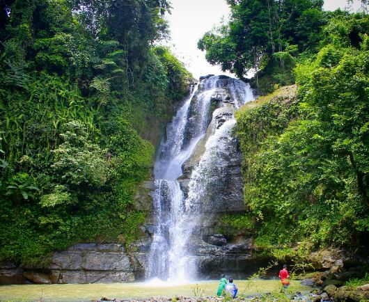 Early Morning Magic at Samita Nuswantari Mini Forest: A Cilacap Escape Without the Crowd